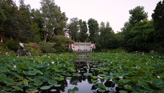 La Foleia - Gallery