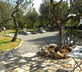 Trulli Colarossa - Gallery - picture 