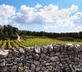 Trulli del Bosco - Gallery - picture 