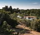 Trulli del Bosco - Gallery - picture 
