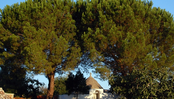 La Vigna - Gallery
