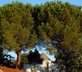 La Vigna - Gallery - picture 
