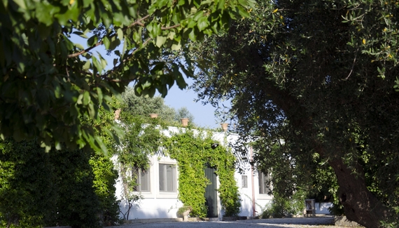La Vigna - Gallery