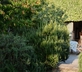 La Vigna - Gallery - picture 
