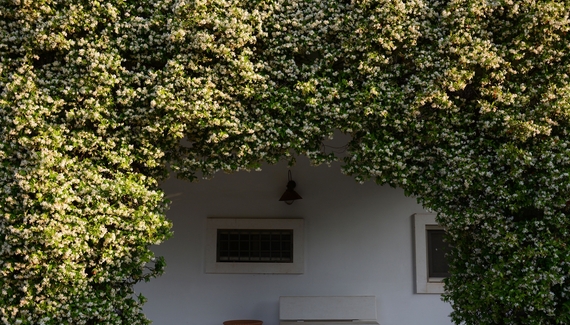 La Vigna - Gallery