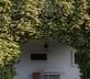 La Vigna - Gallery - picture 