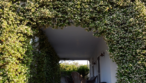 La Vigna - Gallery