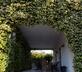 La Vigna - Gallery - picture 