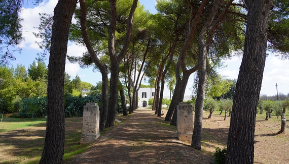 Filippo de Raho- Agri Bio Relais - Gallery