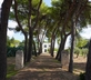 Filippo de Raho- Agri Bio Relais - Gallery - picture 