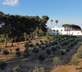 Filippo de Raho- Agri Bio Relais - Gallery - picture 