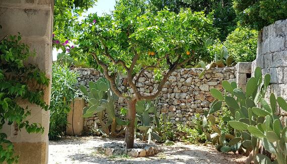 Il Mulino Santo Spirito - Gallery