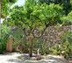 Il Mulino Santo Spirito - Gallery - picture 