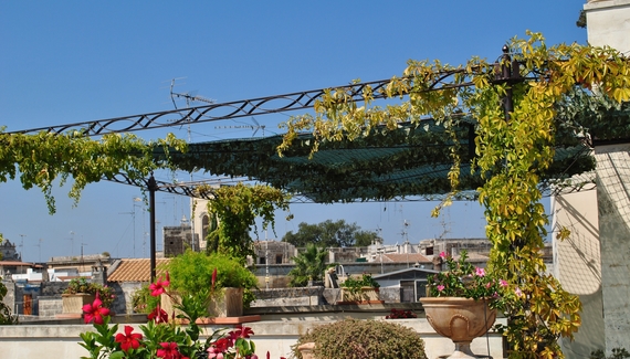 Roof Barocco Suite - Gallery