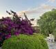 Tancamelis - Gallery - picture 
