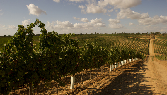 Wine Relais Feudi del Pisciotto - Gallery
