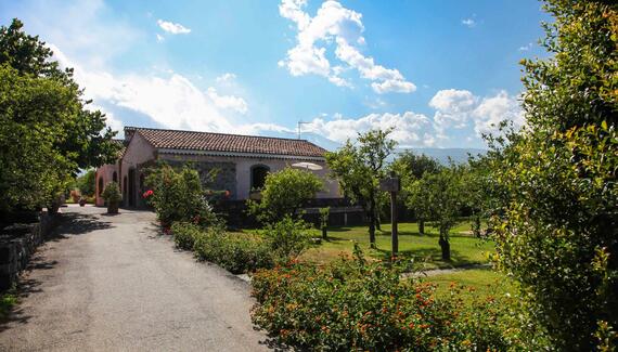 Agriturismo Galea - Gallery