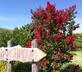 Agriturismo Galea - Gallery - picture 