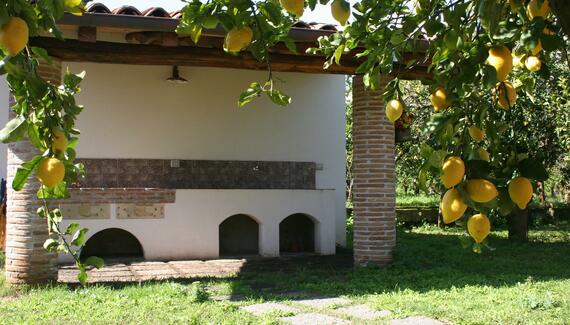 Agriturismo Galea - Gallery