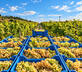 Hotel Villa Schuler - Gallery - picture 