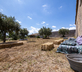 Palmento Belliscala - Gallery - picture 
