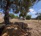 Palmento Belliscala - Gallery - picture 