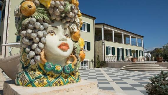 Tenuta Olive Alive - Gallery