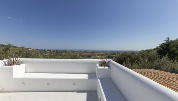 Tenuta Olive Alive - Gallery