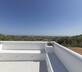 Tenuta Olive Alive - Gallery - picture 