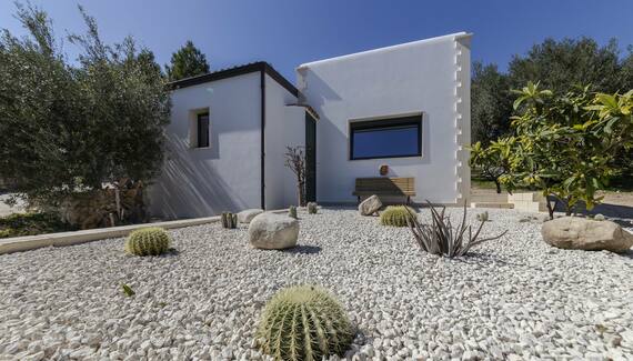 Tenuta Olive Alive - Gallery
