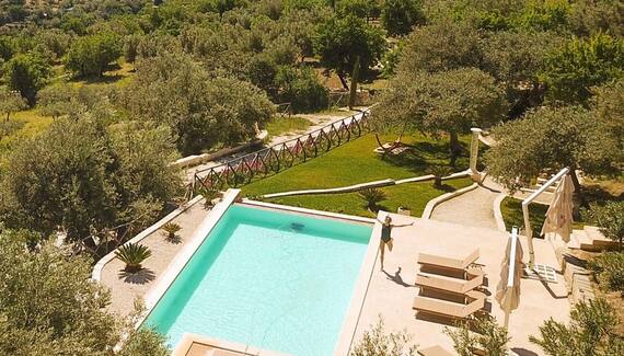 Tenuta Olive Alive - Gallery