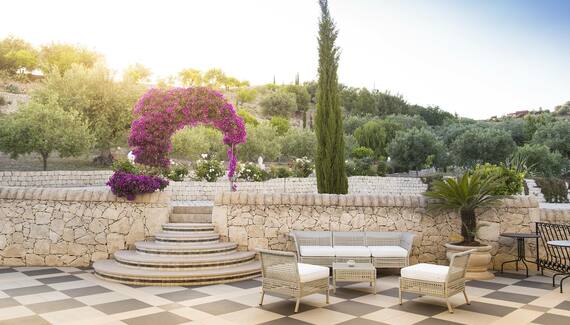 Tenuta Olive Alive - Gallery