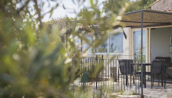 Tenuta Olive Alive - Gallery