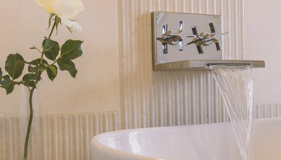 Tenuta Olive Alive - Gallery