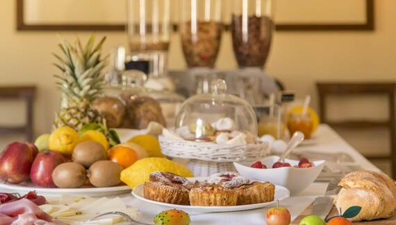 Tenuta Olive Alive - Gallery