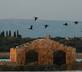 Tenuta Olive Alive - Gallery - picture 