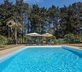 Santa Maria - Gallery - picture 