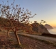 Studio Marcato Grande - Gallery - picture 