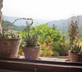 Ca’ Valenzano - Gallery - picture 