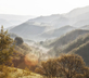 Ca’ Valenzano - Gallery - picture 