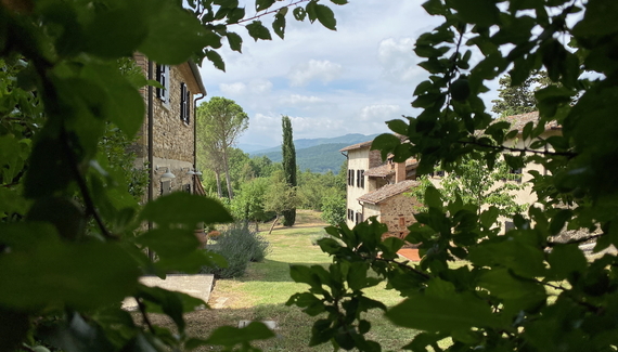La Ceruglia - Gallery
