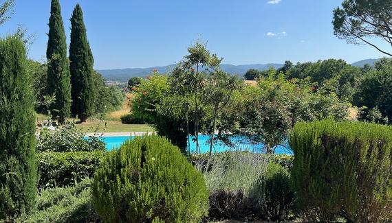 La Ceruglia - Gallery