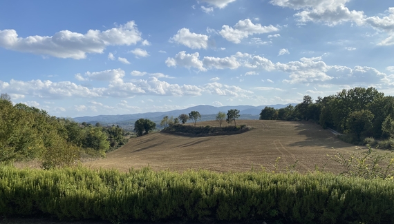 La Ceruglia - Gallery