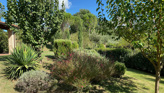 La Ceruglia - Gallery