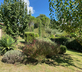 La Ceruglia - Gallery - picture 