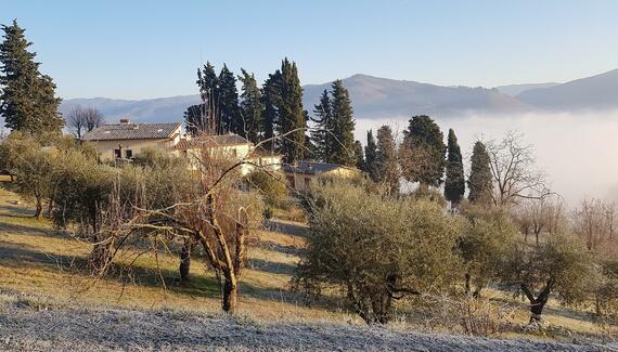 Borgo Villa Cellaia - Gallery
