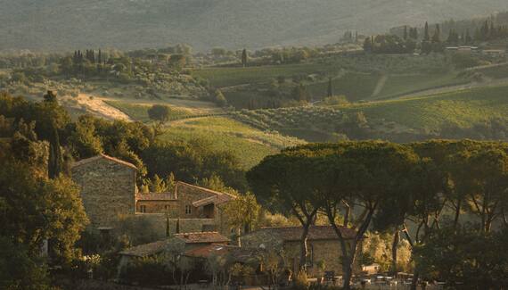 La Darbia in Chianti - Gallery