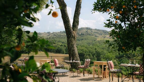 La Darbia in Chianti - Gallery