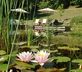 Locanda Casanuova - gallery - picture 