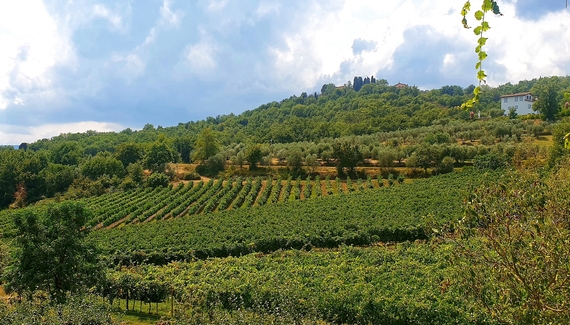 Locanda Casanuova - gallery